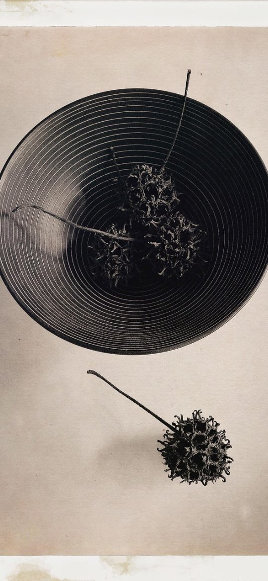 editor App 调色界面，六个风格预设以圆形色卡展示，下方是色温与饱和度滑块，预览窗实时显示调整后的画面